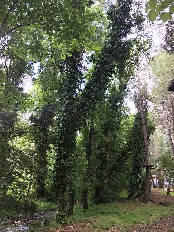 Venkovský dům Casa Rural Nacimiento Del Hueznar - Tomillo 17 San Nicolás del Puerto